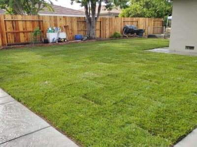 1f43eef8-a64f-44e6-b12e-77a528c3cac0